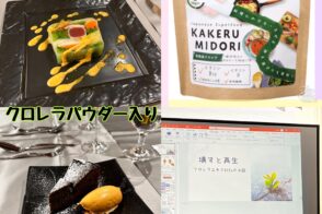 管理栄養士からの一口メモ【 クロレラ学習会に参加しました 】